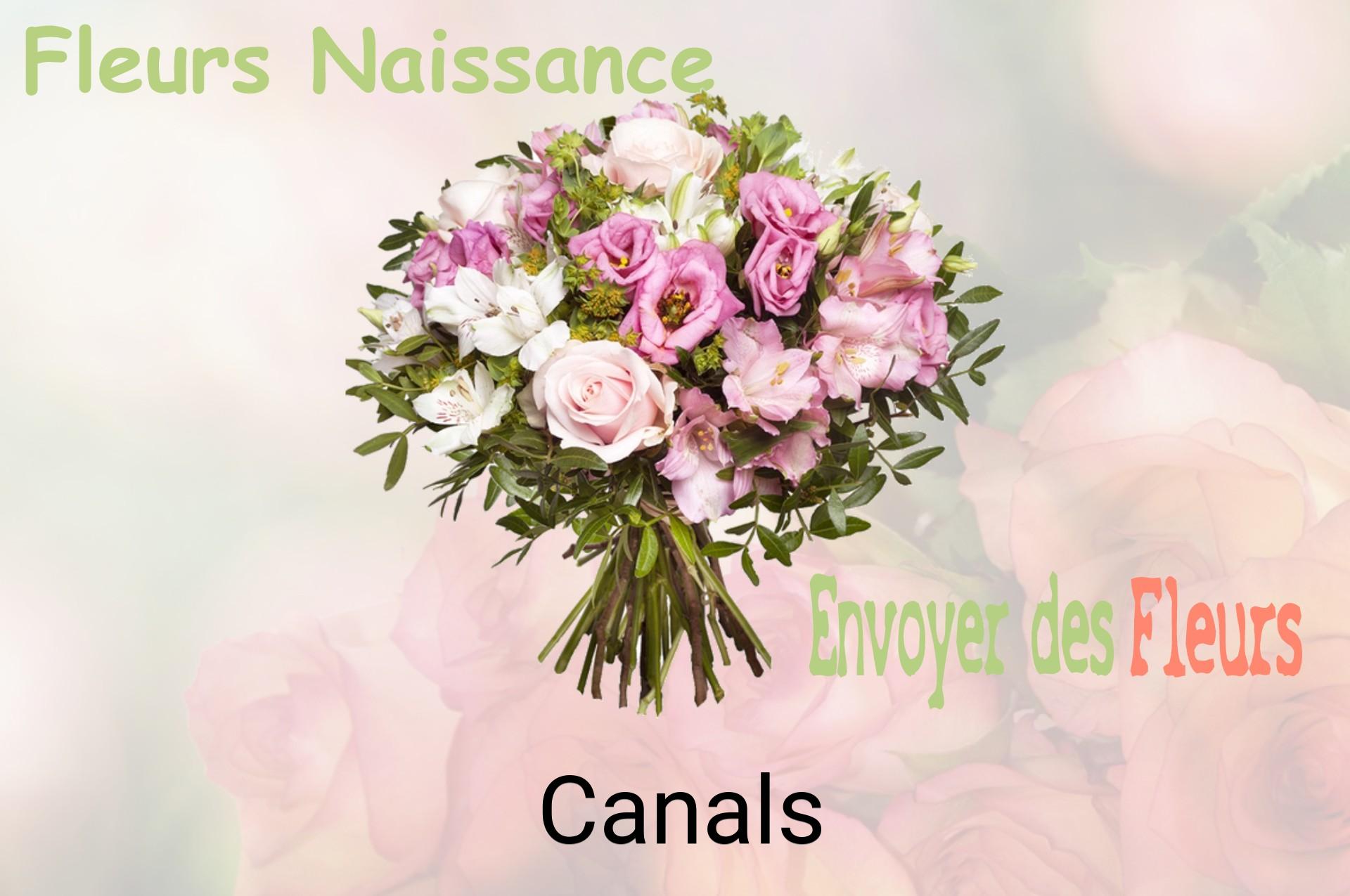 Bouquet de fleurs de naissance livré à Canals